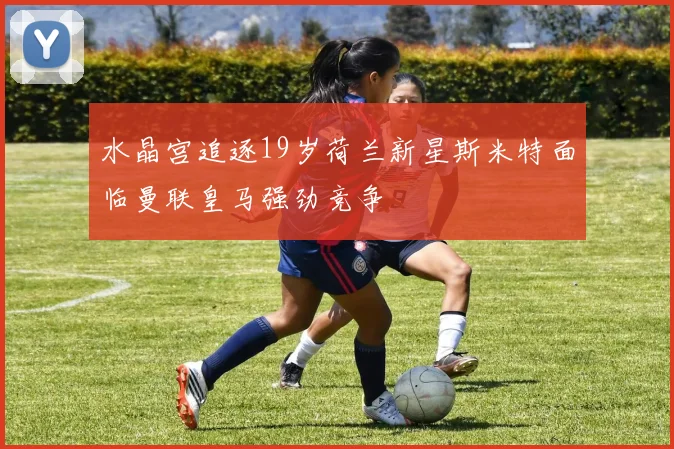 水晶宫追逐19岁荷兰新星斯米特面临曼联皇马强劲竞争