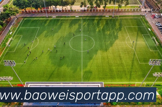 宝威体育发展历程